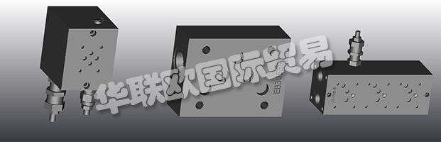 EUROFLUID Hydraulic是一家大型公司，專門生產液壓設備的歧管。